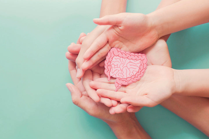 THE MICROBIOME- TAKE CARE OF THIS,  TAKE CARE OF YOU