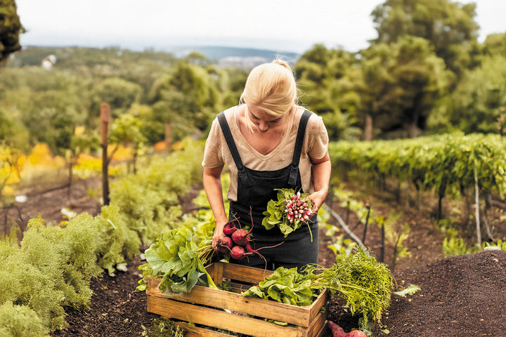 VEGAN ESSENTIALS: WHY IS IT BENEFICIAL?